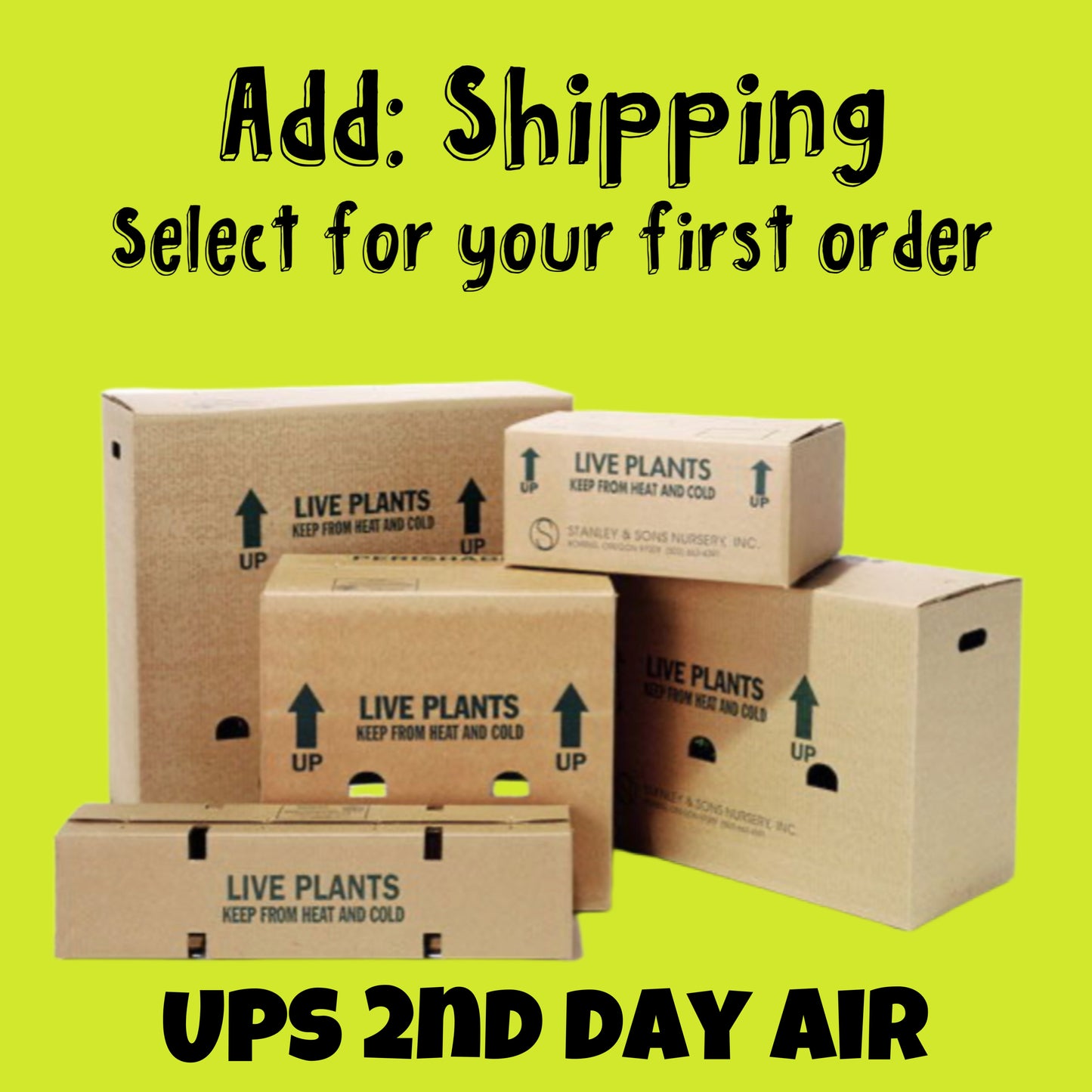 Handling & Domestic UPS 2nd Day Air Shipping