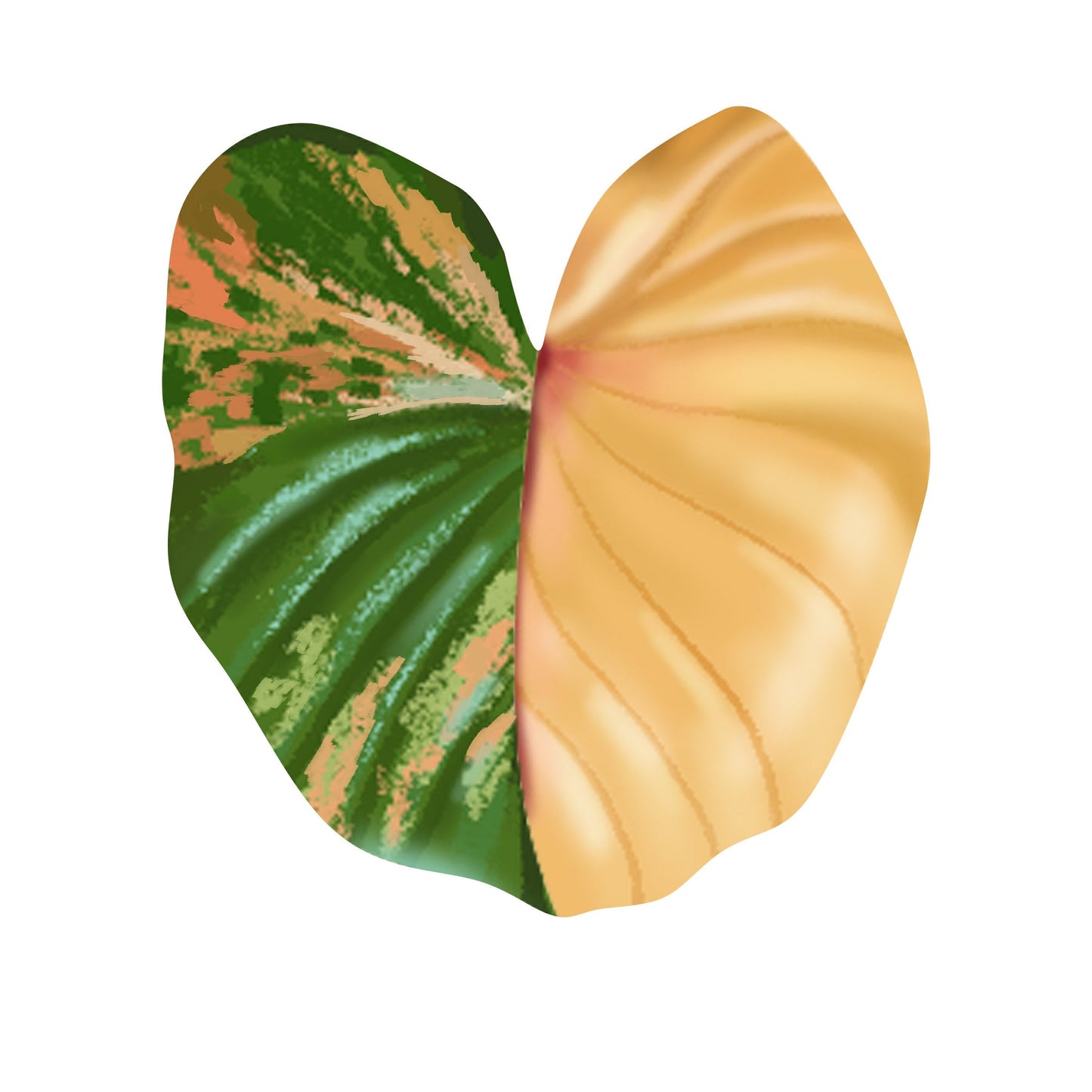 Custom listing for Mayra